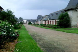 haras (1)