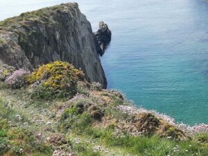 falaise-2