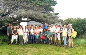 Goulien-2