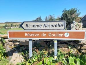 Goulien-5
