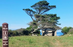 Goulien-6