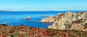 Goulien-7