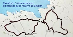 Goulien-8