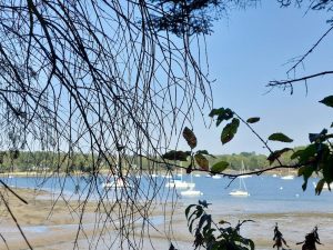 Roscoure-2