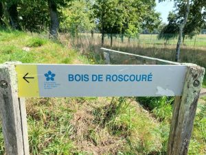 Roscoure-3