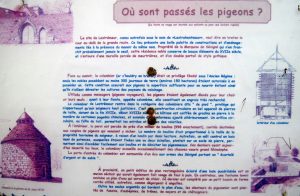 Plomelin-12