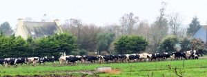 StAlbin-1