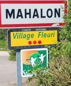 Mahalon-20