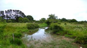 polder-1