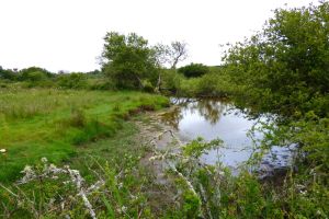 polder-5