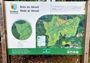 Nevet-5