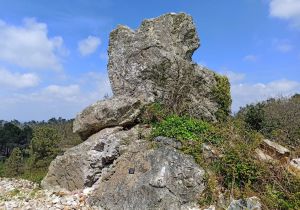 Argol-18