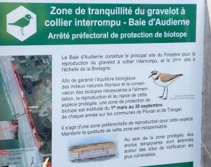 Treguen-12
