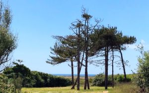 Treguen-14
