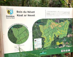 Nevet-8