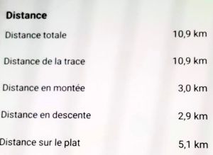 Gouln-37