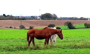 Pouldergat-5
