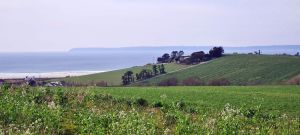 St-Nic-6