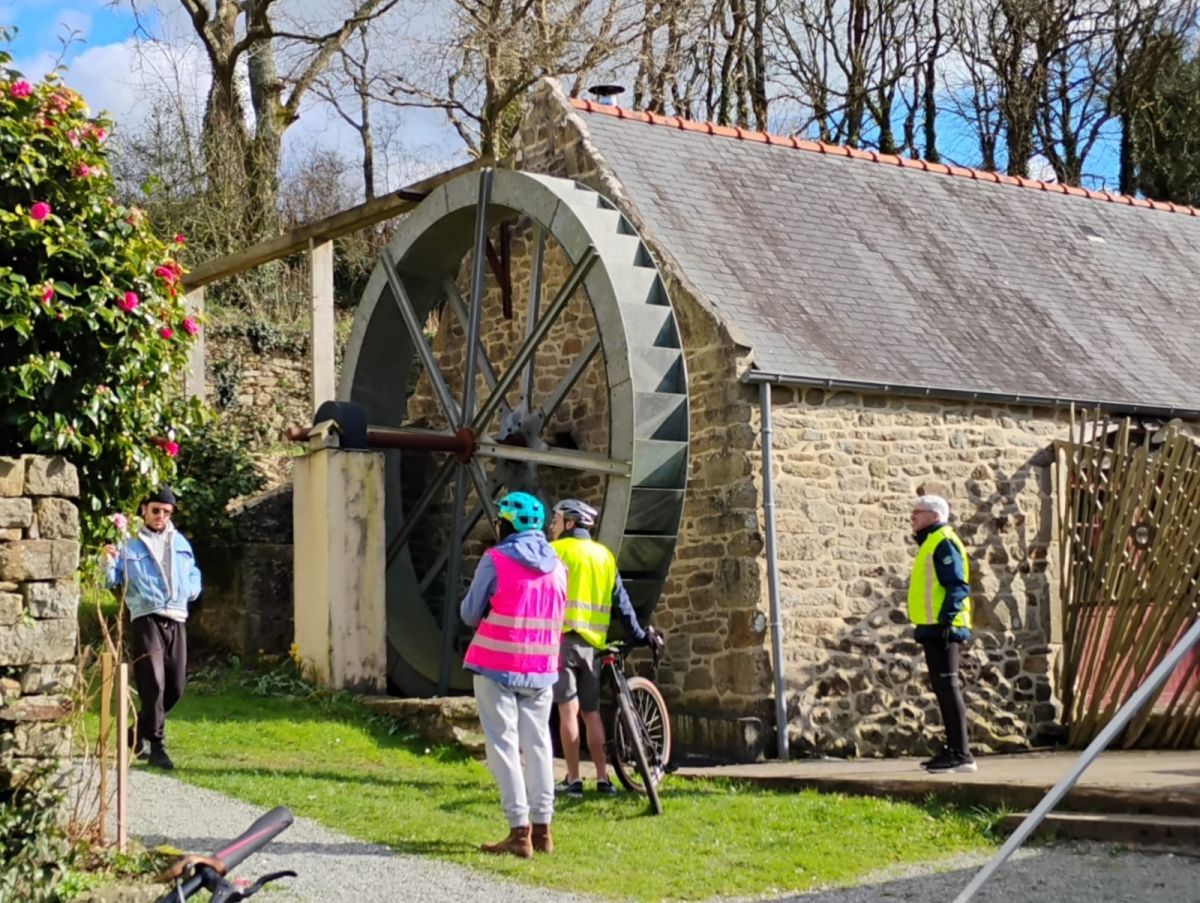 IMG-20250228-WA0002-001