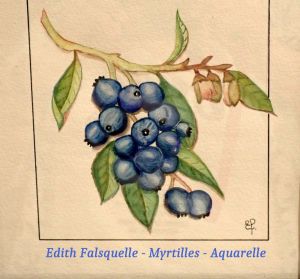 Fruits-13