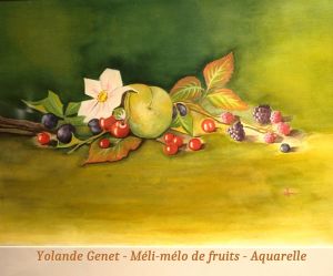 Fruits-17