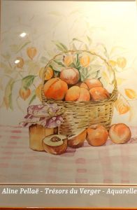Fruits-18