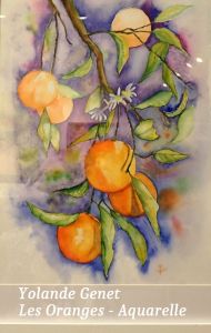 Fruits-23