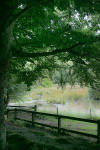 plomarch-26