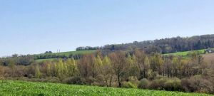 Plogonnec-15