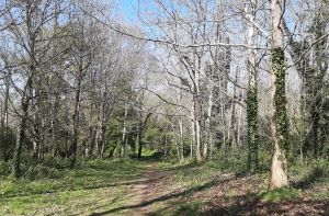 landudec-2