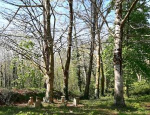 landudec-3