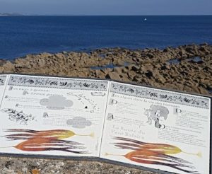 esquibien-25