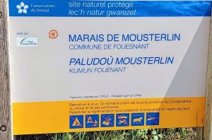 Mousterlin-6