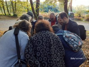 1-KiKi-ya-a-voir-001