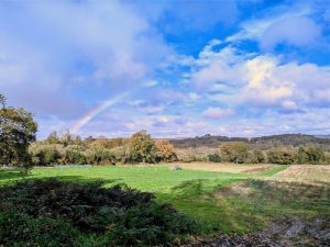 Le-Juch-Ste-Brigitte-2