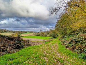 Le-Juch-Ste-Brigitte-3