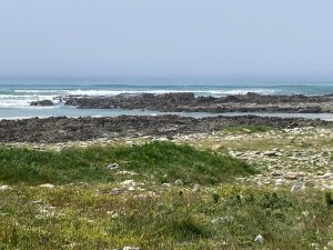 IMG-20260526-WA0003