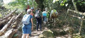 Pont-Aven-10 (1)