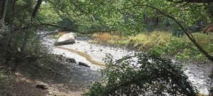 Pont-Aven-11