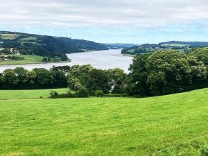 tregarvan-5