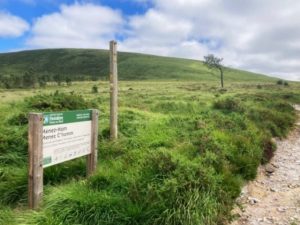 tregarvan-6