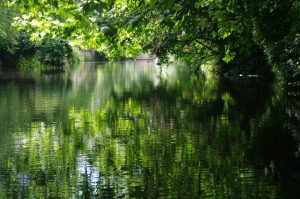 lavoirs-4