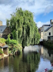 lavoirs-6