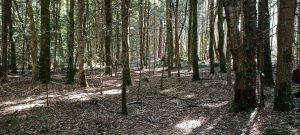 IMG 20260922 145914