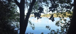 IMG 20260922 153110